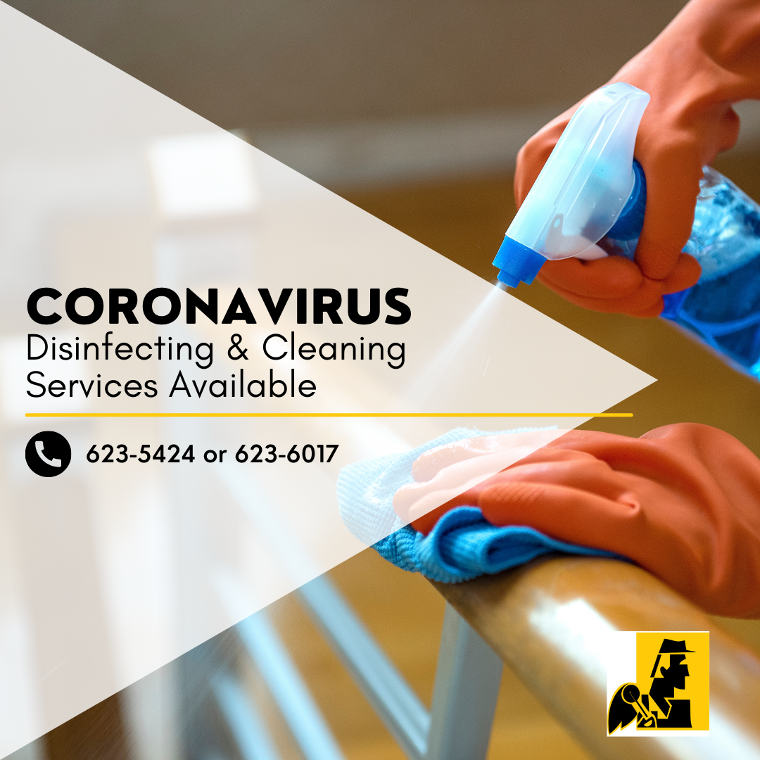 Sanitization Services